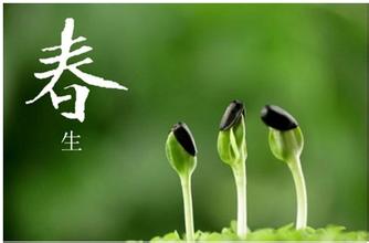 如何結合御髮膳養(yǎng)生更佳？