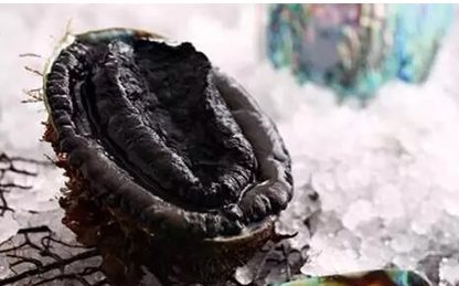 憶探索海洋里的黑鉆，你吃過沒？